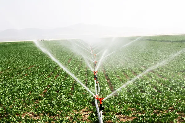 Irrigation